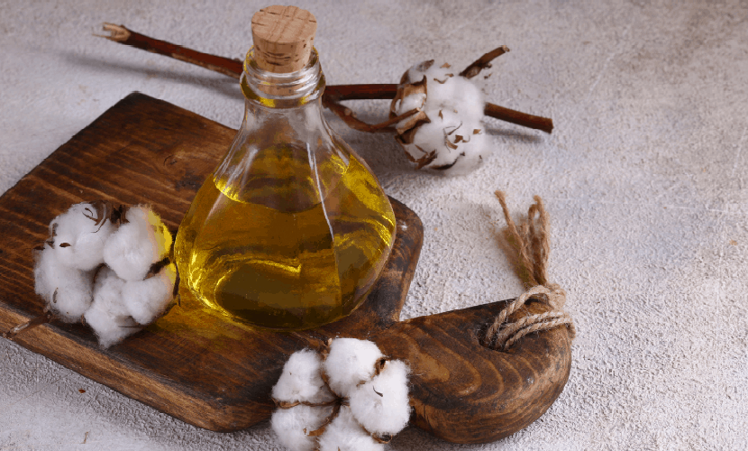 cottonseed oil benefits
