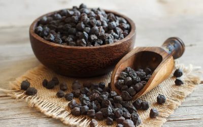 Amazing benefits of black chickpeas (kala chana) for skin, hair and health